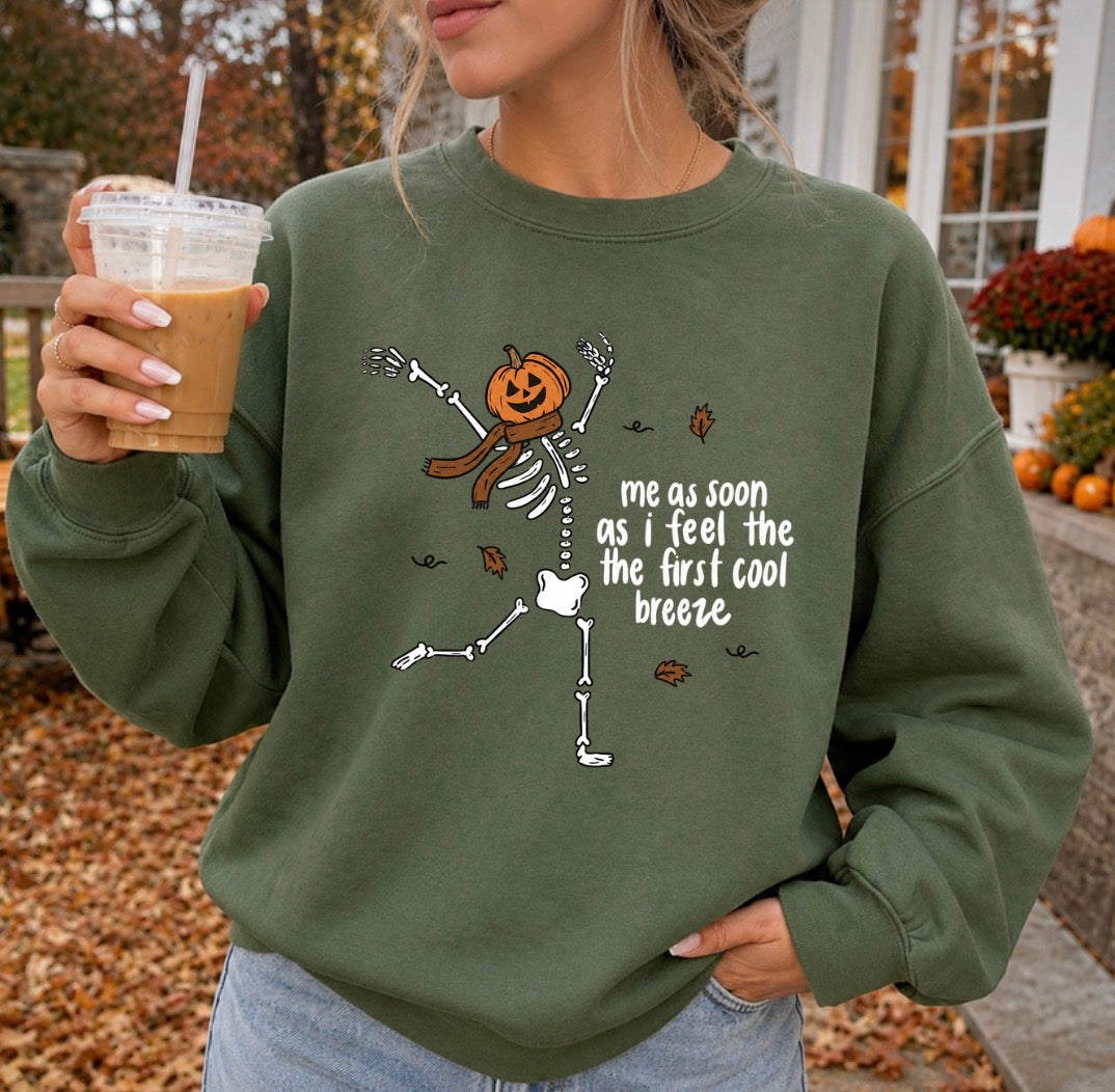 Cool breeze tee/sweatshirt
