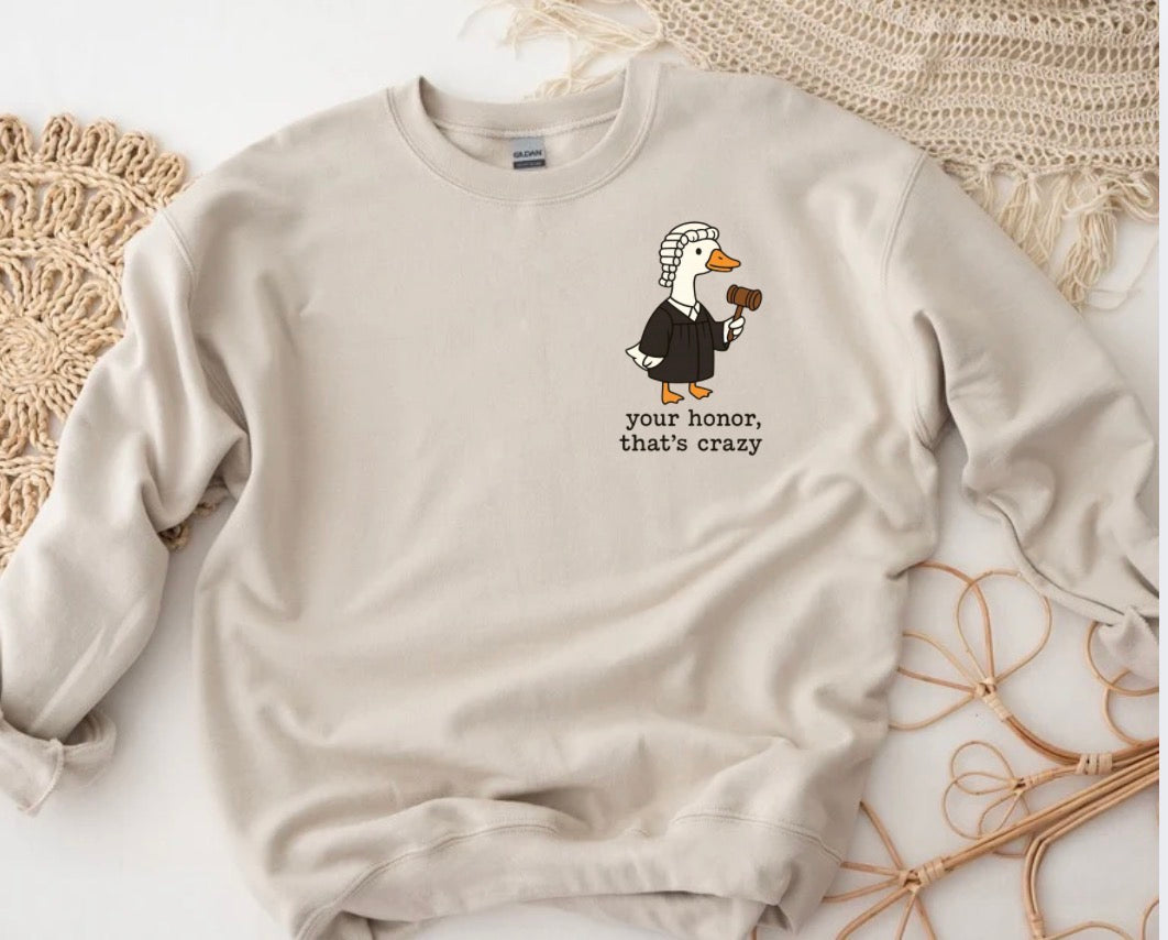 Your honor, that’s crazy sweatshirt
