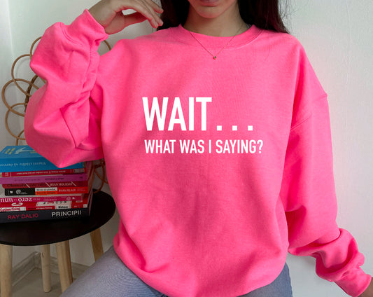 Wait what was I saying? sweatshirt