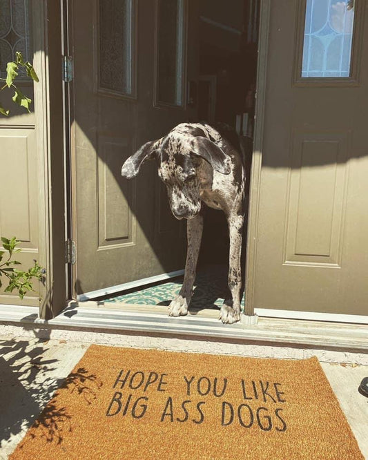 Hope you like big ass dogs doormat